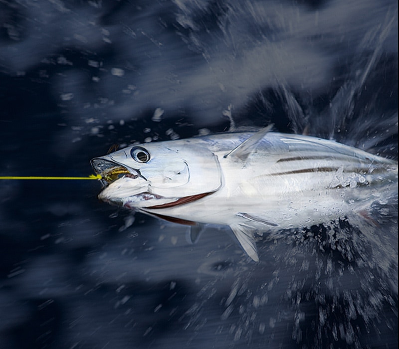 Multicolor Powerful Braided Fishing Line